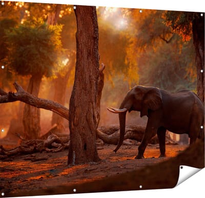 Gards Tuinposter Olifant in het Bos - 150x120 cm - Tuindoek - Tuindecoratie - Wanddecoratie buiten - Tuinschilderij