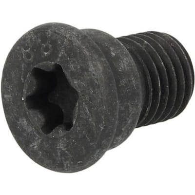 Schroef, remschijf DELPHI BGK007