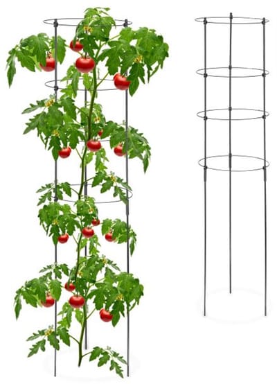 Doodadeals® Tomatensteun 2 Pack Zwart - Plantensteun Klimplant met 3 Verstelbare Ringen 120 cm