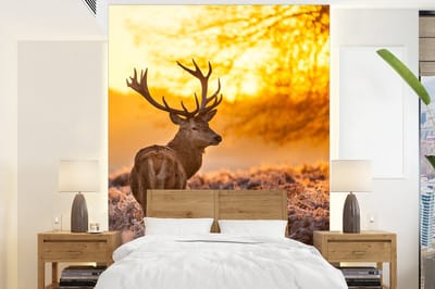 Behang - Fotobehang Hert - Dieren - Zonsondergang - Winter - Heide - Natuur - Breedte 195 cm x hoogte 260 cm