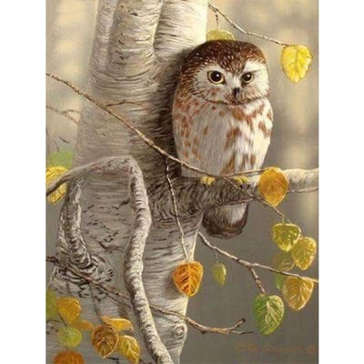 Peinture diamant 5D avec hibou rond, broderie complète, mosaïque, point de croix 20X30CM brown