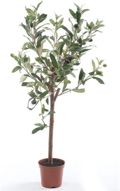 Kunstplant Groene Olijfboom 65 cm in Pot - Kunstboom voor Binnen