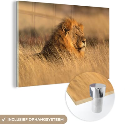 MuchoWow® Glasschilderij 60x40 cm - Schilderij acrylglas - Wilde dieren - Gras - Afrika - Foto op glas - Schilderijen