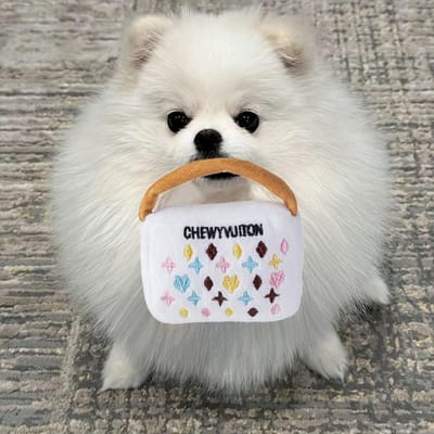 1 pièce Poupée d'animal en peluche de couleur blanche avec design portefeuille, Poupée chien interactive en peluche couinante de designer White Wallet (M)