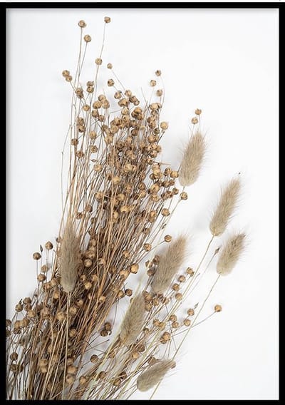 Poster Dried Lagarus Ovatus - 30x40 ingelijst - Poster Droogbloemen - Ingelijst - WALLLL
