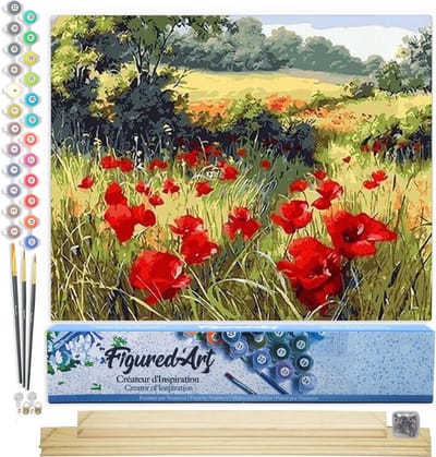 Figured'Art Schilderen op Nummer Volwassenen canvas Veld met klaprozen op het platteland - Handwerk acrylverf Kit DIY Compleet - 40x50cm met DIY houten lijst