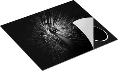 Chefcare Inductie Beschermer Blauwe Pauw met Grote Veren - Zwart Wit - 60x50 cm - Afdekplaat Inductie - Kookplaat Beschermer - Inductie Mat