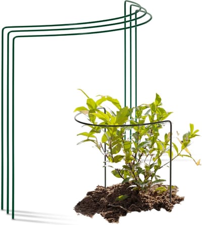 3 struiksteunen halfrond 40 cm Ø50 cm hoog groene vaste plantenhouder bloemenhouder klimplant plantensteun bloemensteun vaste plantensteun klimhulp struikhouder rozensteun