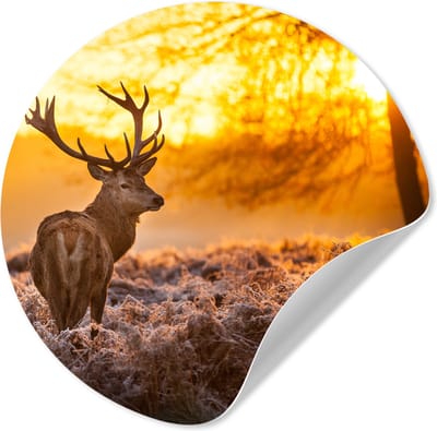 WallCircle - Behangcirkel - Zelfklevend behang - Hert - Zonsondergang - Bosdieren - Winter - 140x140 cm - Woondecoratie - Behangsticker