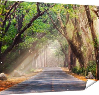 Gards Tuinposter Weg Omringd met Bomen - 150x120 cm - Tuindoek - Tuindecoratie - Wanddecoratie buiten - Tuinschilderij
