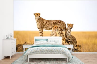 Behang - Fotobehang Cheetah - Gras - Natuur - Savanne - Breedte 400 cm x hoogte 300 cm