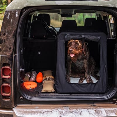 Honden Transportbox - Reisbench Hond - Veilig Vervoer - Stabiel Aluminium Frame - 80 x 60 x 65 cm - Zwart
