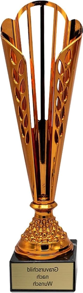 Gepersonaliseerde Beker - Trofee Onderscheiding - Prijsuitreiking Wedstrijd - Met Gravure Naar Wens - 365 cm - Brons