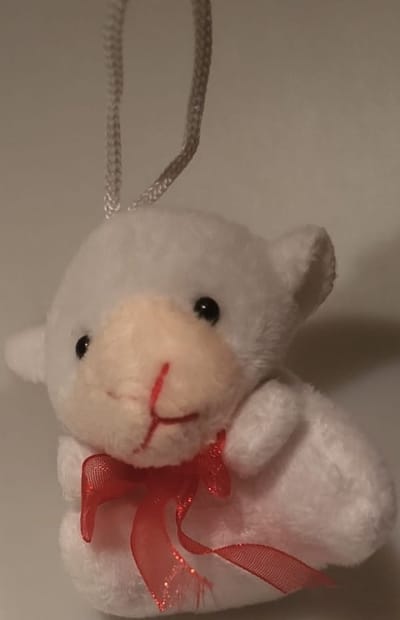 Een schattige knuffel 7cm hoog. Perfect om als schoencadeau te geven of tijdens Kerst en Sinterklaas. Leuk als sleutelhanger of tassenhanger. Een leuke knuffel om voor jezelf te kopen of om cadeau te geven.