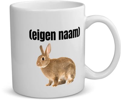 Akyol - konijn met eigen naam koffiemok - theemok - Konijn - konijnen liefhebbers - iemand die houdt van konijnen - verjaardag - cadeau - kado - 350 ML inhoud