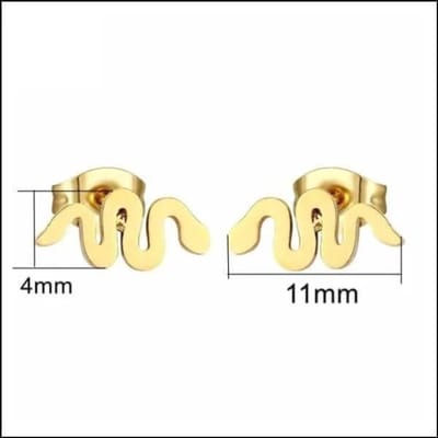 Aramat Jewels | Oorbellen | RVS Dieren Oorbellen Diverse Motieven - Dierenliefhebber Oorstekers | Slang/Goudkleur-11x4mm | |8mm | Staal | Kinderen, Volwassenen | Verkleurd niet