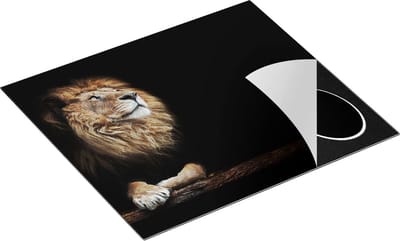 Chefcare Inductie Beschermer Leeuw in het Donker op een Boomstronk - 60x50 cm - Afdekplaat Inductie - Kookplaat Beschermer - Inductie Mat