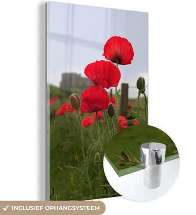 ® Glasschilderij 120x180 cm - Schilderij acrylglas - Bloemen en op de achtergrond het Kasteel van Bamburgh - Foto op glas - Muurdecoratie woonkamer - Wanddecoratie slaapkamer - Schilderijen