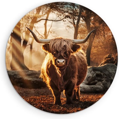 Saammp Muurcirkel Hout - Schotse Hooglander Koe in een bos met zonsondergang - Dieren - Natuur - Ø 90 - Wandcirkel - Wanddecoratie Cirkel - muurdecoratie Woonkamer - Slaapkamer decoratie - Rond Schilderij