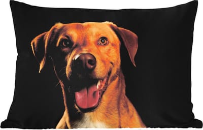 Buitenkussens - Tuin - Blije bruine hond op zwarte achtergrond - 50x30 cm