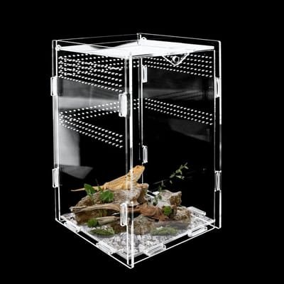 Terrarium voor spinnen en kleine dieren, 12 x 12 x 20 cm, ideaal als broed- en voederbox, acryl ontwerp, perfect voor reptielen en huisdieren