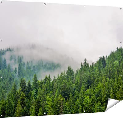 Gards Tuinposter Groen Bos met Bomen tijdens de Mist - 150x120 cm - Tuindoek - Tuindecoratie - Wanddecoratie buiten - Tuinschilderij