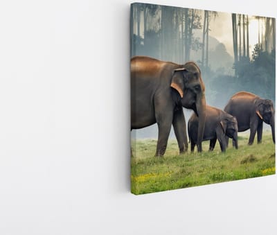 Saammp Canvas Schilderij - Olifanten Familie in thailand - Dieren - 20x20 - Foto op canvas - Wanddecoratie - muurdecoratie Woonkamer - Slaapkamer decoratie - Canvas Print