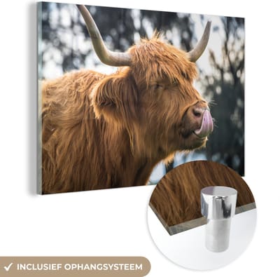 MuchoWow® Glasschilderij 60x40 cm - Schilderij acrylglas - Schotse Hooglander - Neus - Boom - Foto op glas - Schilderijen