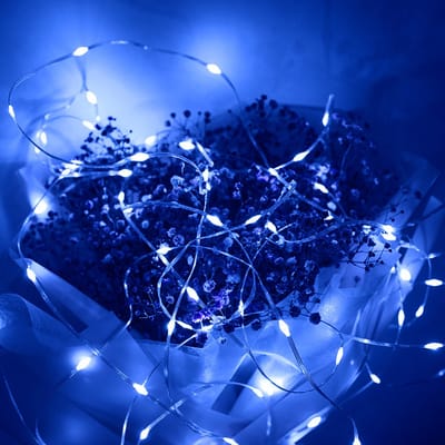 Rosnek Blauwe LED Kerstverlichting 10 Meter 100 LEDs - Lichtsnoer met Geheugenfunctie & 8 Lichtmodi - IP44 - Kerstdecoratie voor Feesten en Buiten