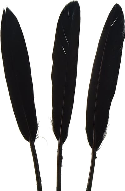 Zwarte Veren Decoratieve Ganzenveren Zwart 11-14cm 180 st