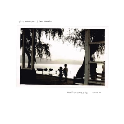 Chihei Hatakeyama & Shun Ishiwaka - Magnificent Little Dudes Vol. 2