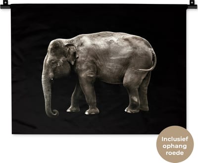 Wandkleed Dieren op een zwarte achtergrond - Olifant op zwarte achtergrond Wandkleed katoen 60x45 cm - Wandtapijt met foto