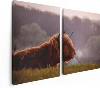 Artaza Canvas Schilderij Tweeluik Schotse Hooglander Koe Ligt In Het Gras - 120x80 - Foto Op Canvas - Canvas Print