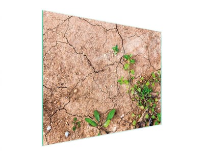 TMK ArtDeko Serie - Glazen Snijplank - 52x40 cm - Veelkleurig - Hittebestendig - Antibacterieel
