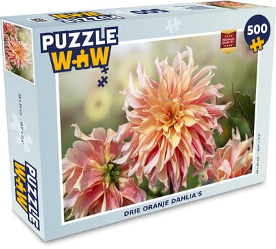 Puzzel Drie oranje dahlia's - Legpuzzel - Puzzel 500 stukjes