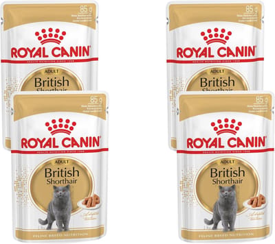 Royal Canin - British Shorthair Loaf Kattenvoer Nat - 48 x 85 gr