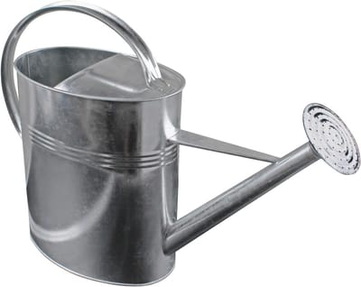 Metalen Gieter - Zinken Waterkan - Planten Water Geven - Robuust Zinken Materiaal - 5 Liter Inhoud
