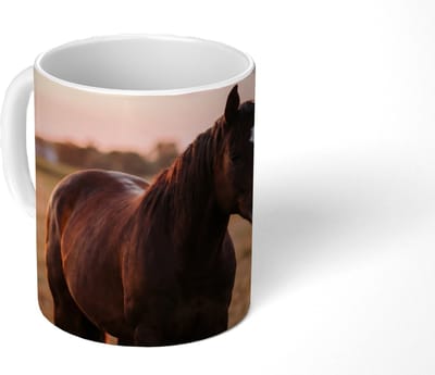 Mok - Koffiemok - Paard - Zonsondergang - Bruin - Mokken - 350 ML - Beker - Koffiemokken - Theemok