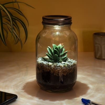 Lichtgevend Terrarium van Gift Republic