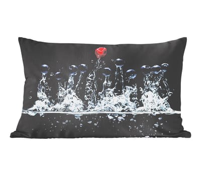 Sierkussens - Kussentjes Woonkamer - 50x30 cm - Bessen - Water - Zwart - Fruit - Framboos