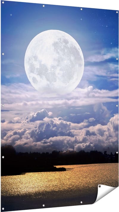 Gards Tuinposter Volle Maan bij het Water - 120x180 cm - Tuindoek - Tuindecoratie - Wanddecoratie buiten - Tuinschilderij