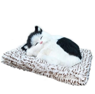 Oneay Pluche Kat Luchtverfrisser – Bamboe Houtskool Luchtreiniger – Auto en Bureau Decoratie – Schattige Slapende Kat – Zwart