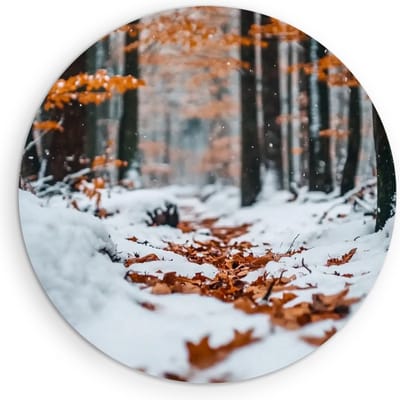 Saammp Muurcirkel Hout - Natuur - zonsondergang - Watervallen - Ø 90 - Wandcirkel - Wanddecoratie Cirkel - Muurdecoratie Woonkamer - Slaapkamer decoratie - Rond Schilderij