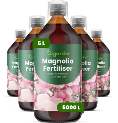 Vloeibare Meststof Voor Magnolia 5X1 L Voor 5000 L - Npk 3-4-3 - Geschikt Voor Alle Magnoliavariëteiten - Stimuleert Vroege Knopvorming En Rijke Bloei - Versterkt Ondiepe Magnoliawortelstelsels Voor Stabiliteit Op Lange Termijn - Organifer