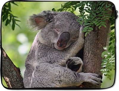 Laptophoes 15.6 inch - Koala - Portret - Bladeren - Laptop sleeve - Binnenmaat 37x26 cm - Zwarte achterkant