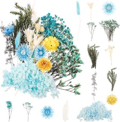Gedroogd Bloemenboeket - Echte Geperste Bloemen - DIY Knutselen - Natuurlijk Gedroogd - Blauw