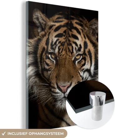 MuchoWow® Glasschilderij 120x160 cm - Schilderij acrylglas - Tijger - Wilde dieren - Portret - Foto op glas - Schilderijen