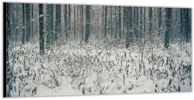 KuijsFotoprint - Schilderij - Sneeuw In De Bossen - Wit En Bruin - 100 X 200 Cm