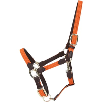 Kentucky Horsewear - Halster - Oranje - Gevlochten Nylon - Maat Full
