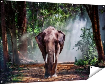 Gards Tuinposter Olifant in het Bos - 150x100 cm - Tuindoek - Tuindecoratie - Wanddecoratie buiten - Tuinschilderij